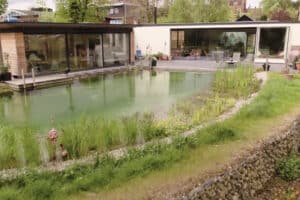 Modern house with large windows and ultra slim sliding doors, adjacent to a natural swimming pool surrounded by greenery and stone edging.