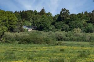 A modern house with large windows and sleek aluminium sliding doors is partially hidden among dense trees on a hillside overlooking a green field dotted with yellow flowers.