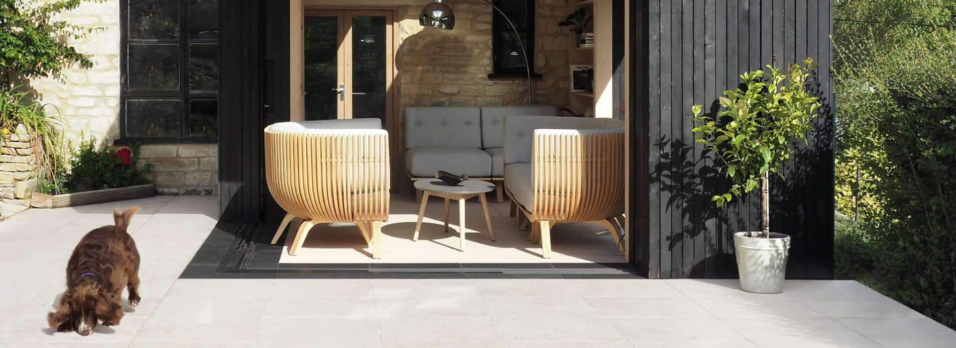 A dog sniffs the ground on a patio in front of a modern outdoor seating area with chairs, a small table, and a potted plant by a black-painted wall, while sliding aluminium doors glint in the sunlight nearby.