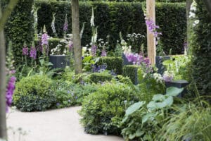 RHS Chelsea Flower Show
