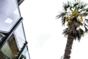 A glass building facade on the left with reflections, and a tall palm tree on the right against a bright, overcast sky.