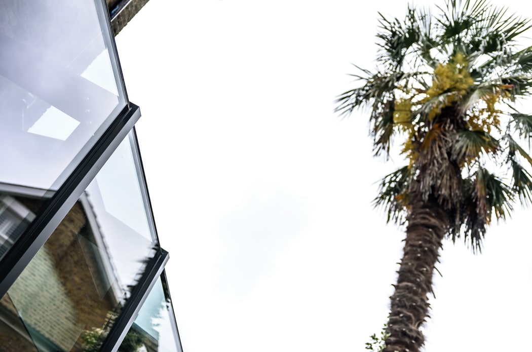 A glass building facade on the left with reflections, and a tall palm tree on the right against a bright, overcast sky.