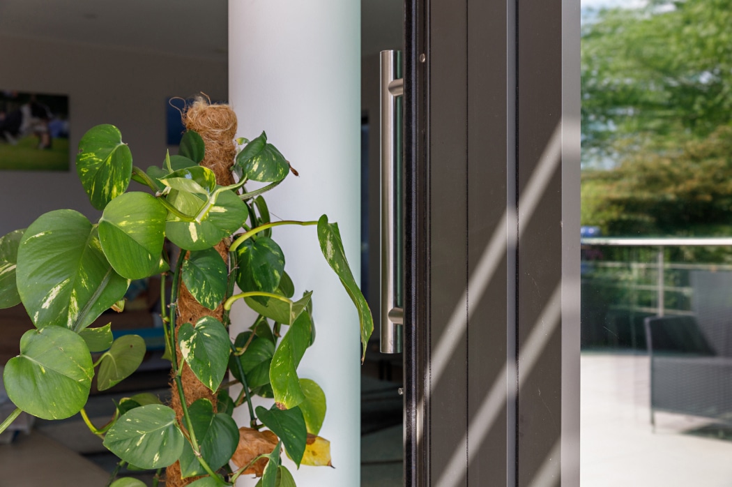 A green leafy houseplant next to a white column, with a modern glass door partially open to an outdoor patio area.